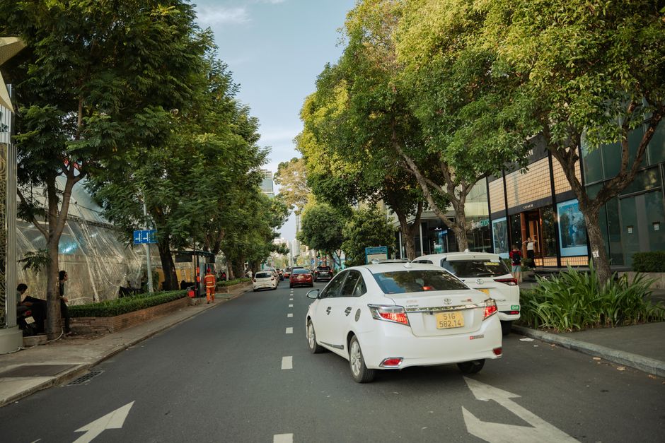 Busy urban street lined with trees and vehicles, showcasing city life and transportation.